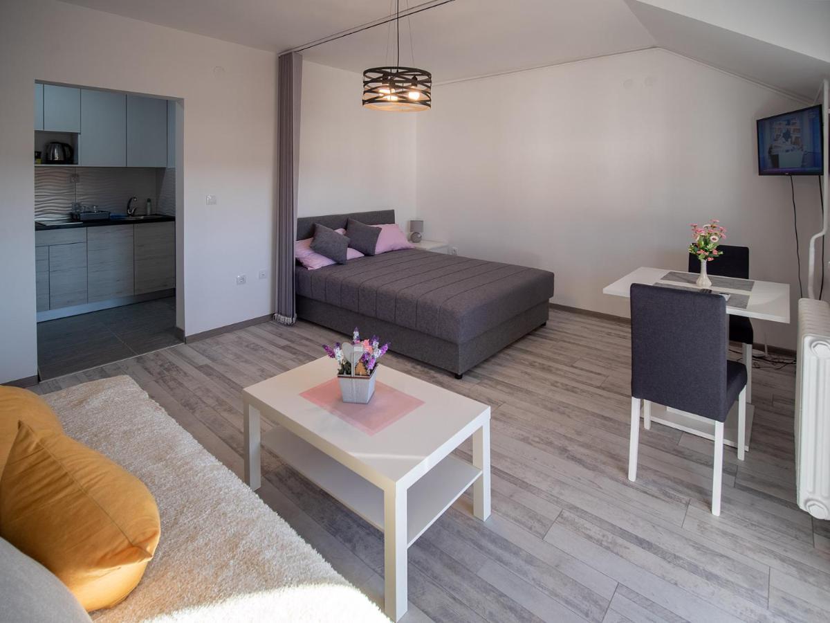 Apartman Sara Apartment Novi Sad Exterior photo